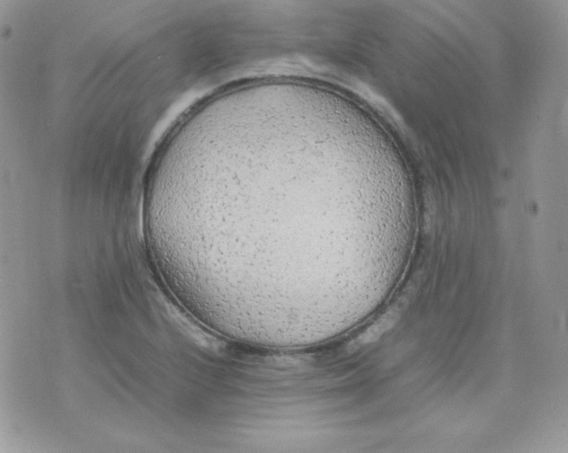 X0000074931224200609291749