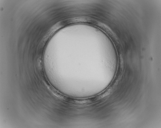 X0000074931225200609291749