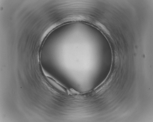 X0000074931226200609291749