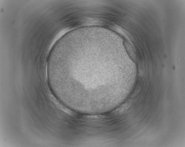 X0000074931227200609291749