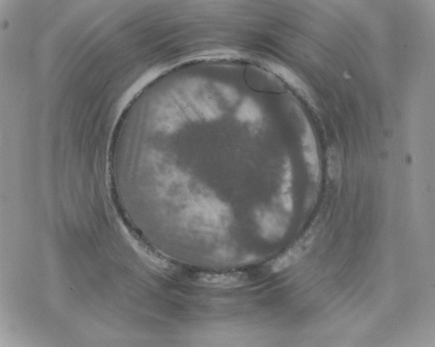 X0000074931229200609291749