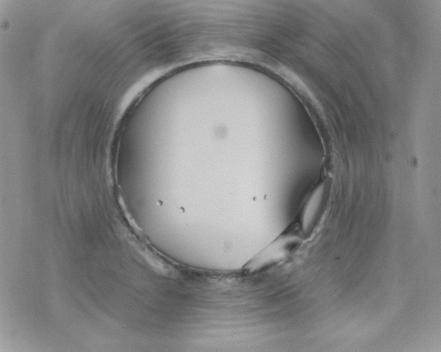 X0000074931230200609291749