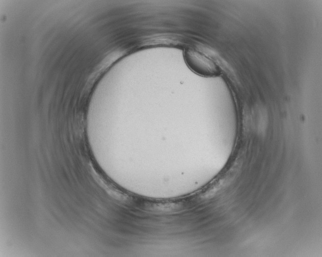 X0000074931233200609291749