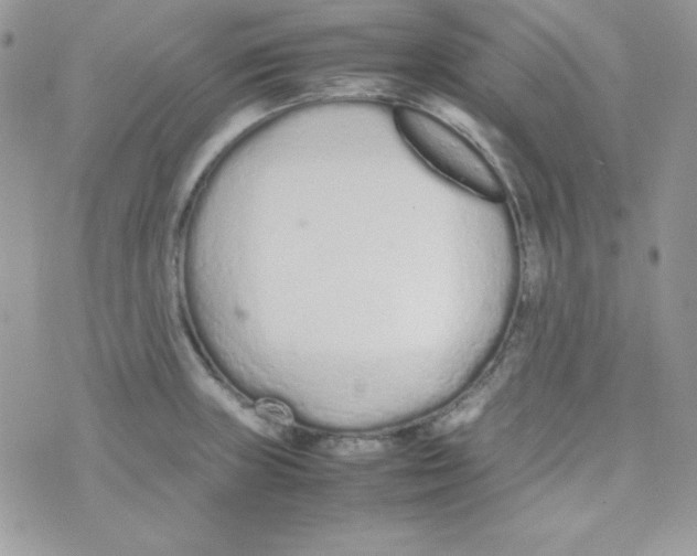 X0000074931235200609291749