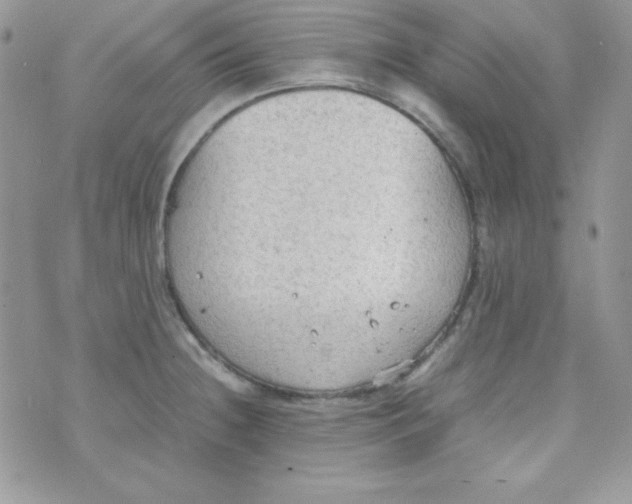 X0000074931236200609291749