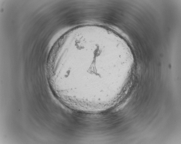 X0000074931239200609291749