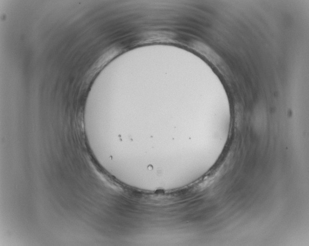 X0000074931241200609291749