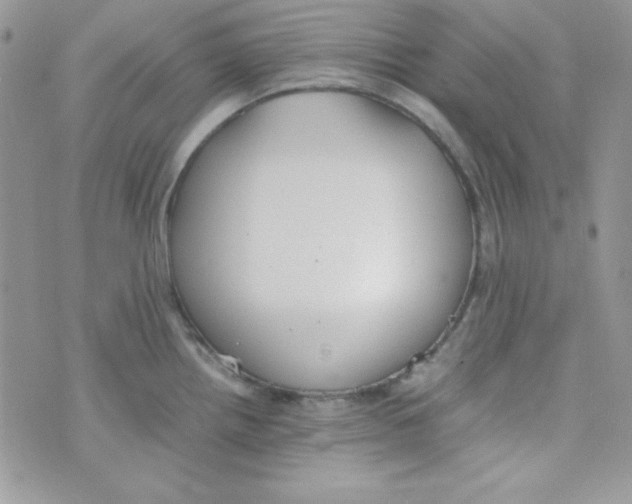 X0000074931242200609291749