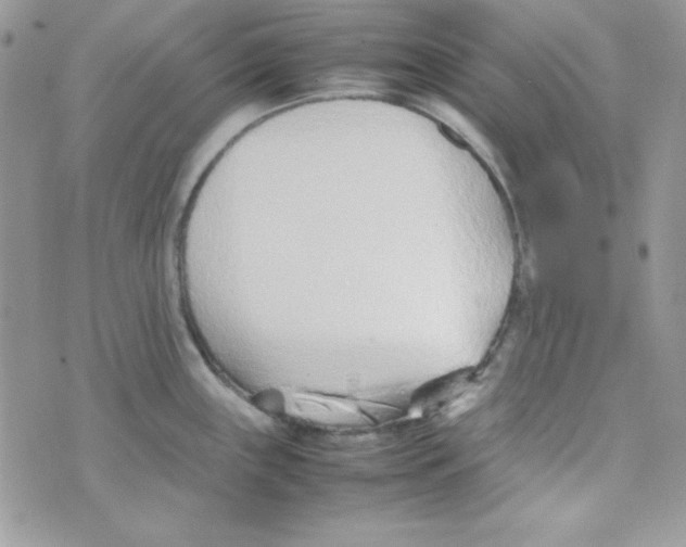 X0000074931243200609291749