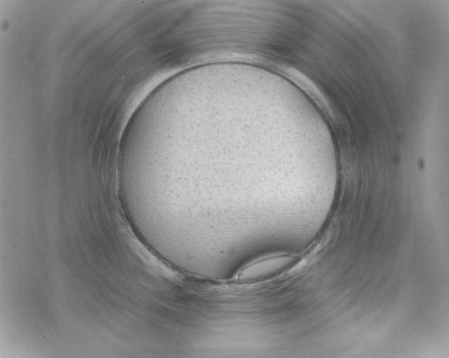 X0000074931244200609291749