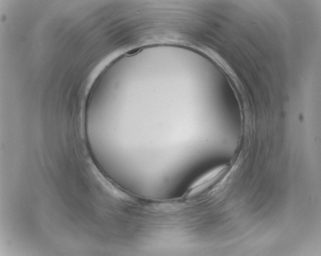 X0000074931246200609291749