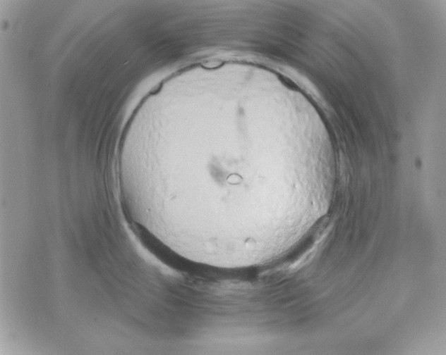 X0000074931247200609291749