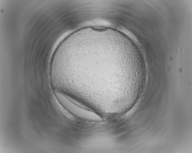 X0000074931248200609291749