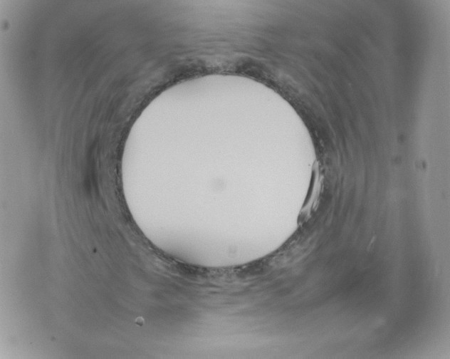 X0000074931249200609291748