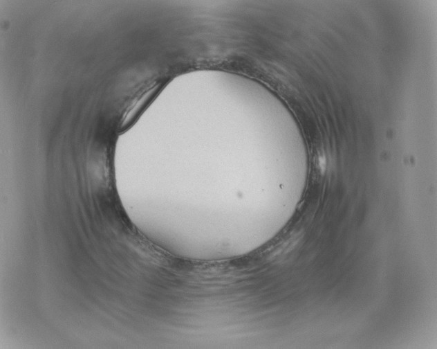 X0000074931252200609291748