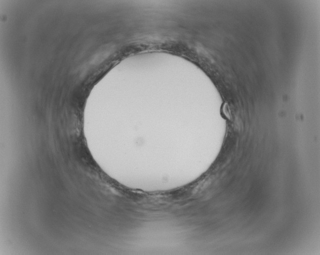 X0000074931253200609291748