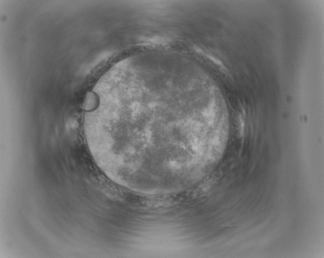 X0000074931254200609291748