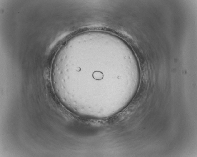 X0000074931255200609291748