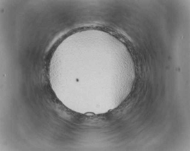 X0000074931256200609291748