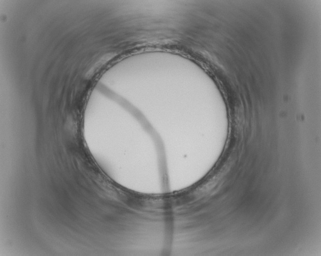 X0000074931257200609291748