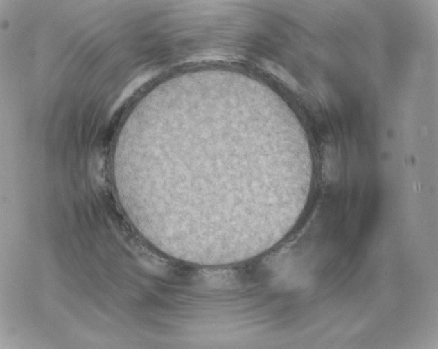 X0000074931258200609291748