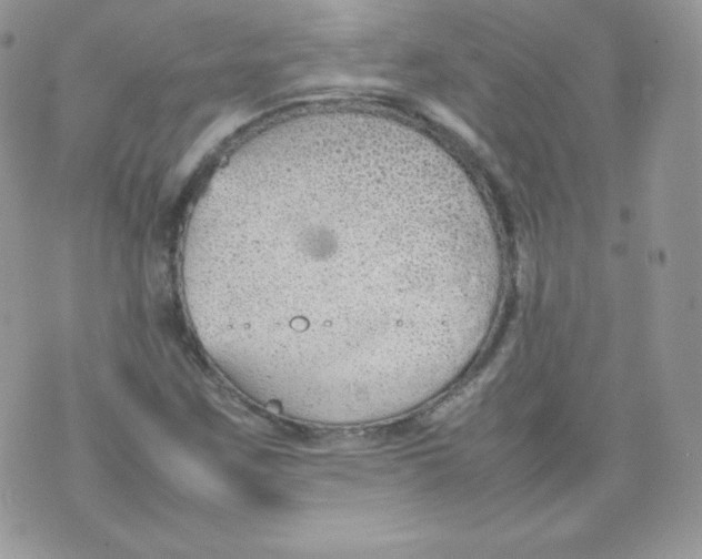 X0000074931259200609291748