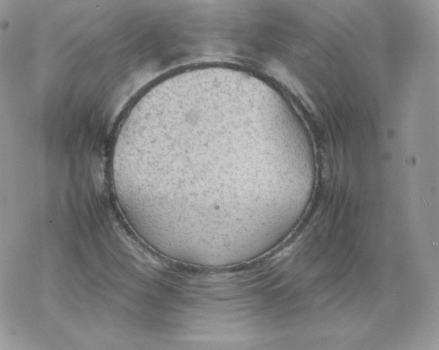 X0000074931260200609291748