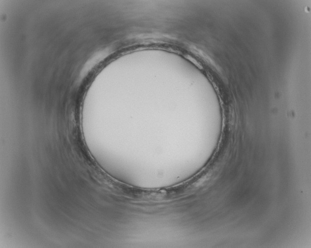 X0000074931261200609291748