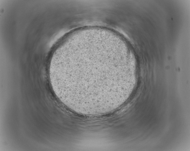 X0000074931263200609291748