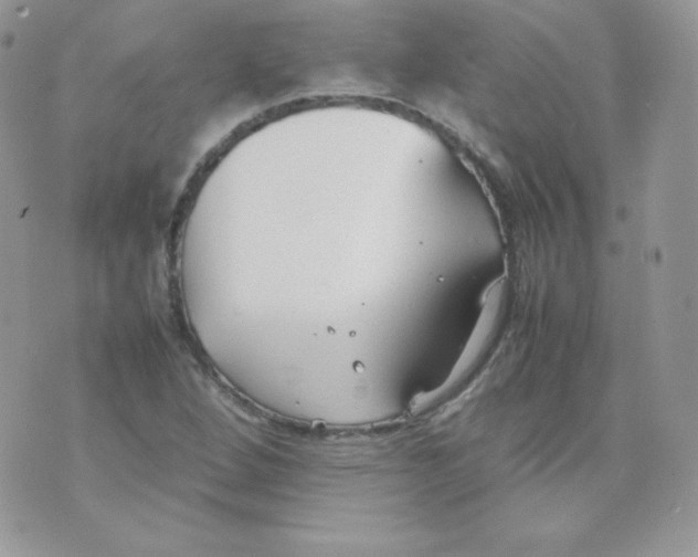 X0000074931264200609291748