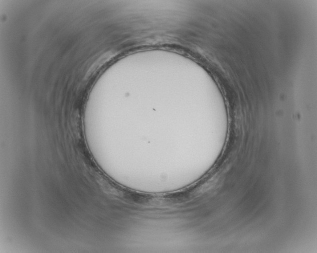 X0000074931265200609291748