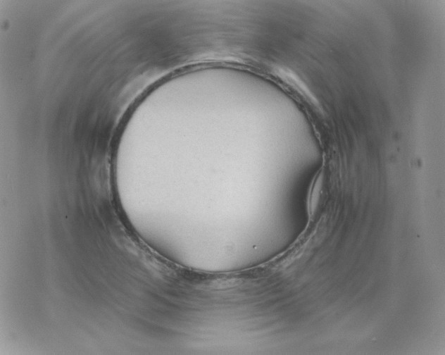 X0000074931268200609291748