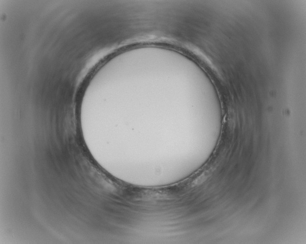 X0000074931270200609291748