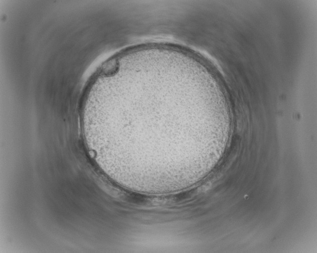 X0000074931271200609291748