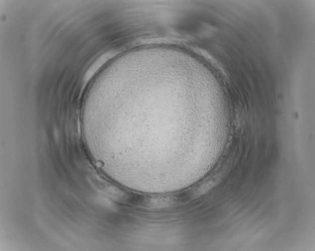 X0000074931274200609291748