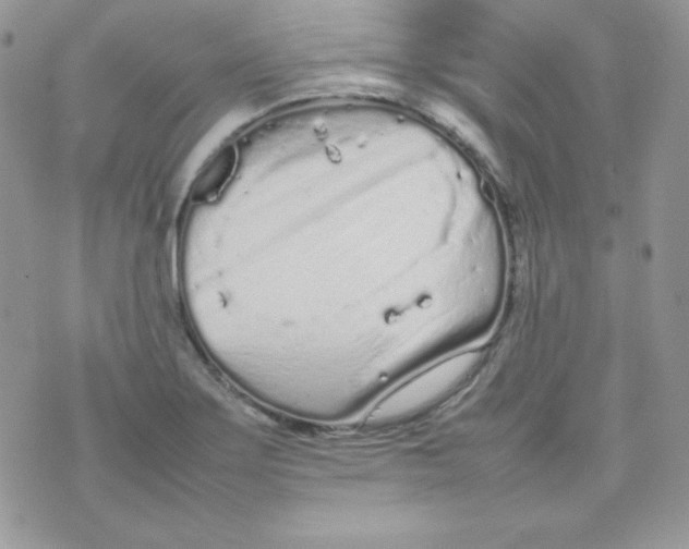 X0000074931275200609291748