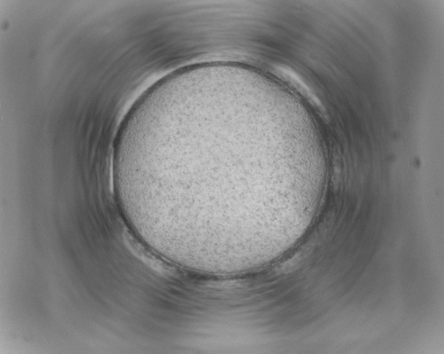 X0000074931276200609291748