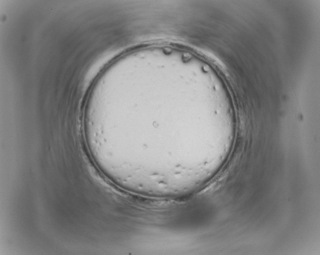 X0000074931279200609291748