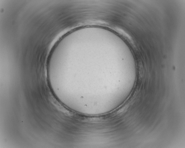 X0000074931280200609291748