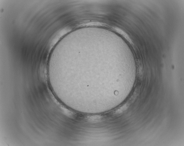 X0000074931282200609291748