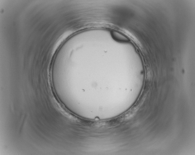 X0000074931283200609291748