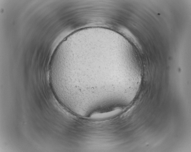 X0000074931284200609291748