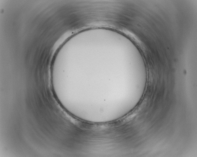 X0000074931286200609291748