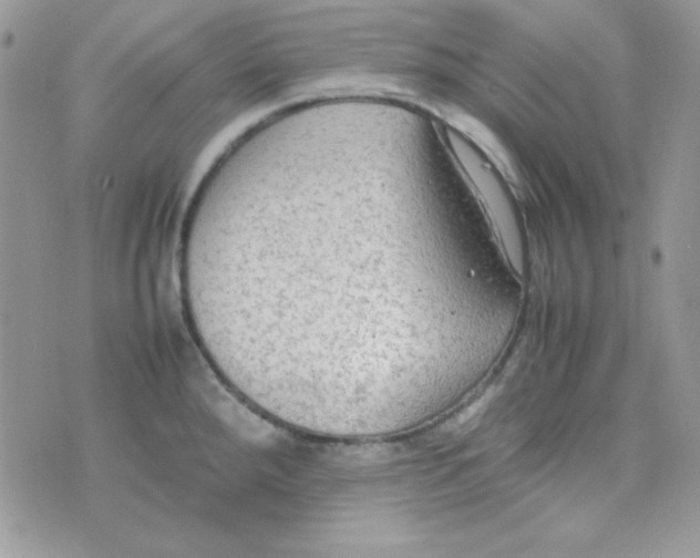 X0000074931288200609291748