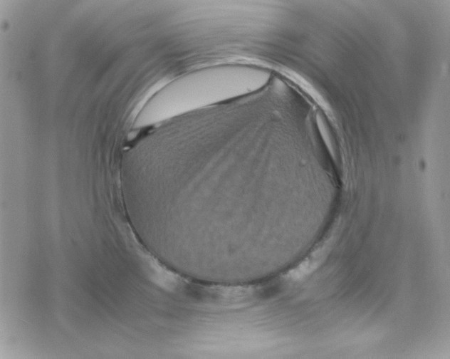 X0000074931289200609291748