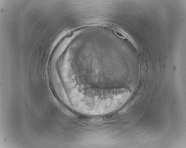 X0000074931291200609291748