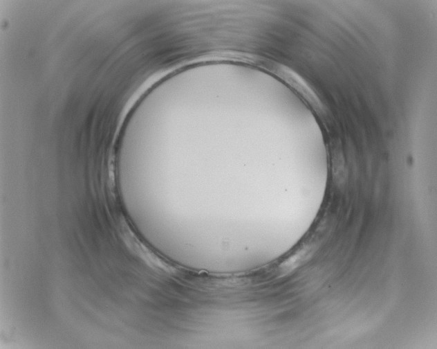 X0000074931292200609291748