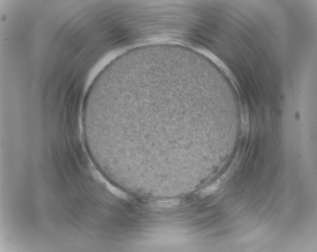 X0000074931294200609291748