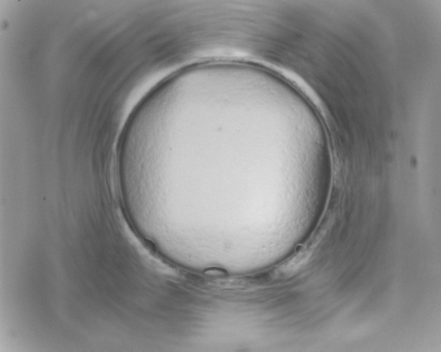 X0000074931295200609291747