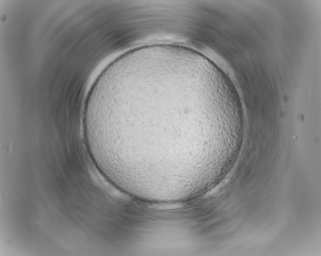 X0000074931296200609291747